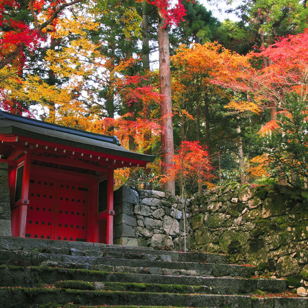 Japan, Kinki Region, Kyoto Prefecture, Kyoto, View of Sanzen-in Temple. (Photo by: JTB/UIG via Getty Images) (Photo by: JTB Photo/UIG via Getty Images)