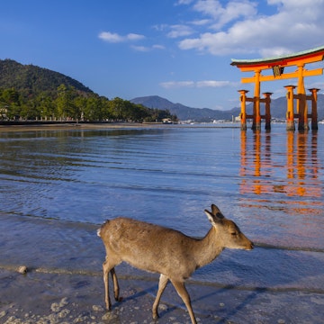 Japan, Sanyo Region, Hiroshima Prefecture, Hatsukaichi, Torii gate of Itsukushima shrine. (Photo by: JTB/UIG via Getty Images) (Photo by: JTB Photo/UIG via Getty Images)