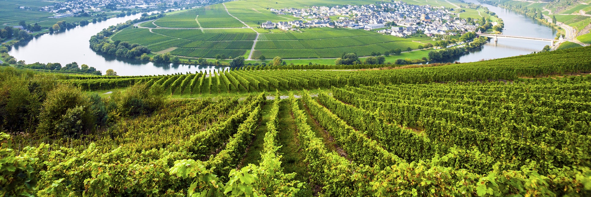 famous Moselle Sinuosity with vineyards