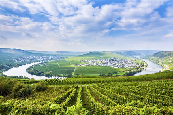 Moselle Valley travel - Lonely Planet | Germany, Europe