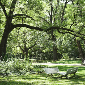 Bulgaria, Sofia, Borisova Gradina, park benches under shade of tree canopy
