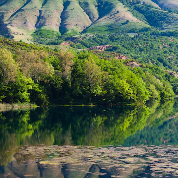 Trees reflecting in Blue Eye Spring, Muzine, Albania