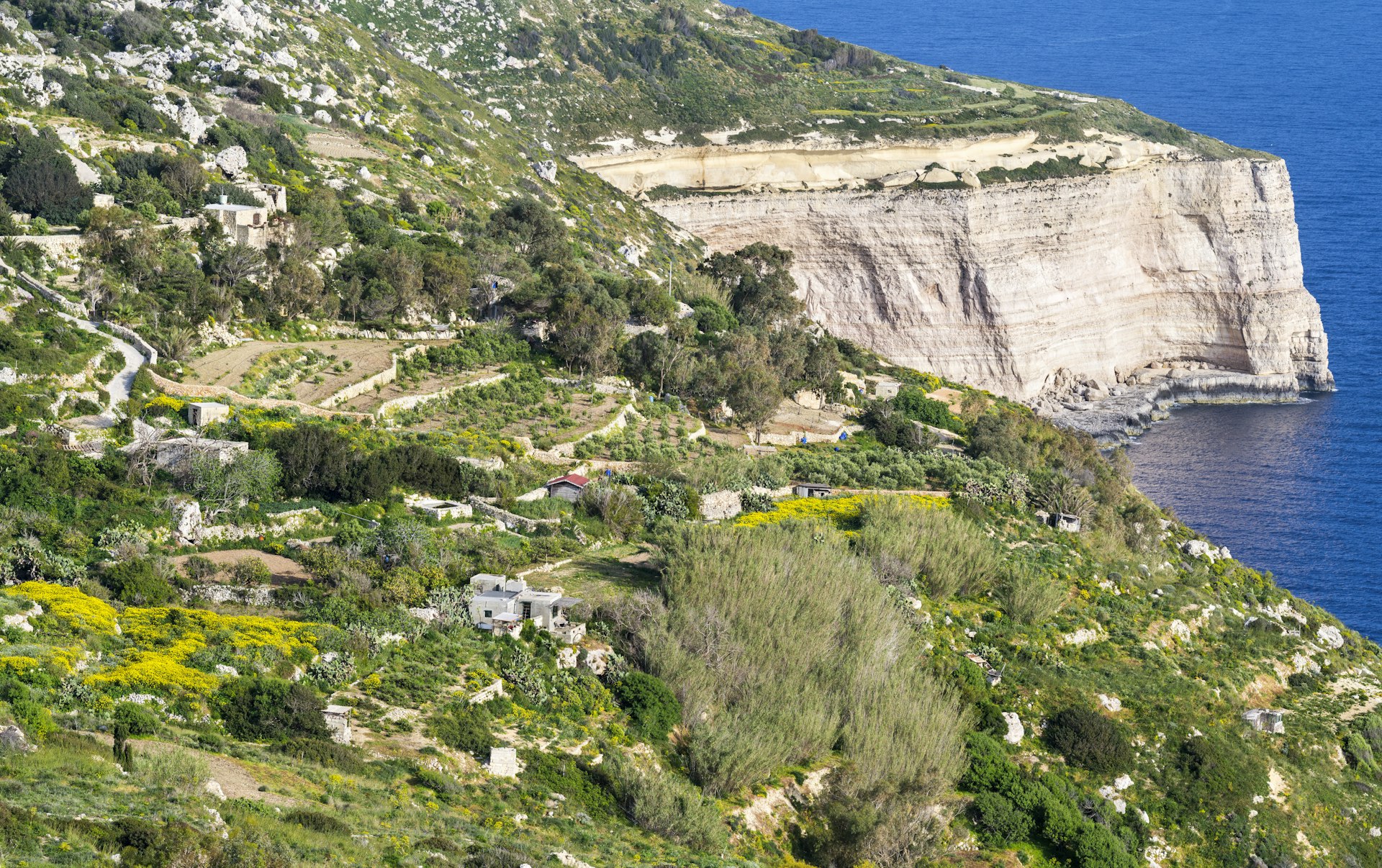 A view of the 200m-high Dingli Cliffs above the Mediterranean Sea, Malta, Europe