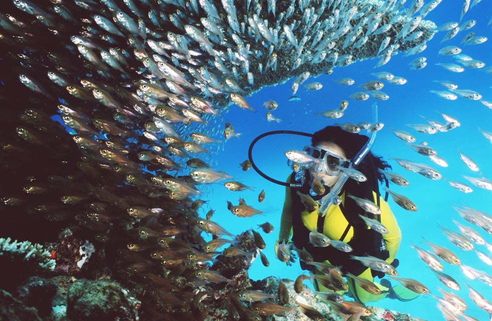 Woman scuba diving near coral and tropical fish
