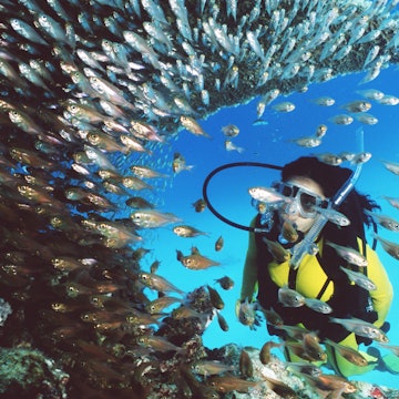 Woman scuba diving near coral and tropical fish