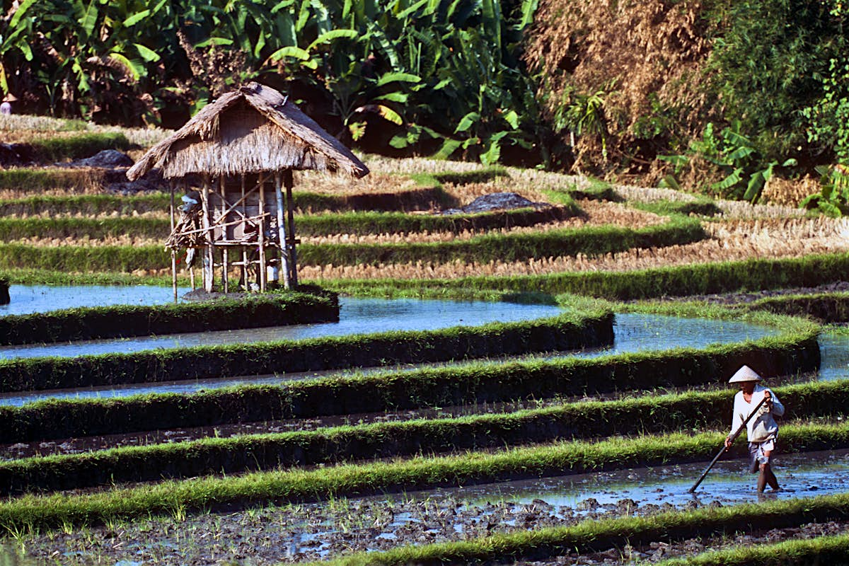 Chiang Dao Travel Chiang Mai Province Thailand Lonely Planet