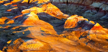 Item photo for undefined