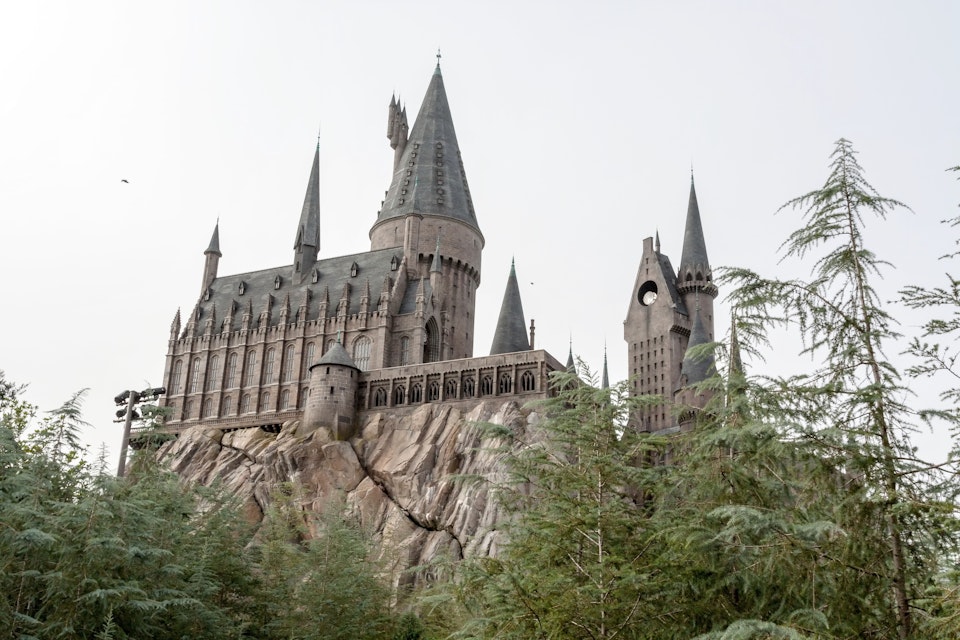 The Wizarding World of Harry Potter & Other Highlights of, wizarding world  