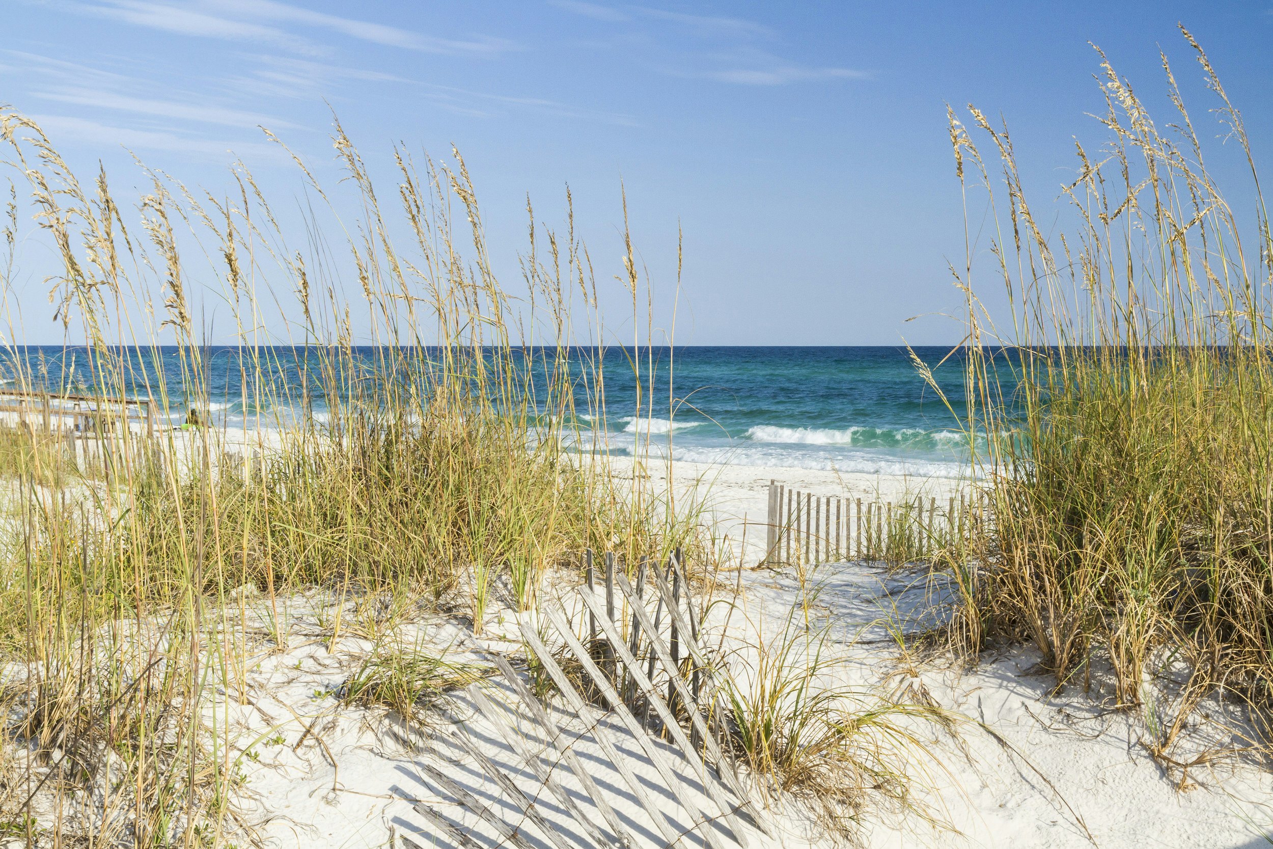 Dune fence and sea oats on the dunes at Pensacola Beach, Florida on Gulf Islands National Seashore.; Shutterstock ID 217923022; Your name (First / Last): Emma Sparks; GL account no.: 65050; Netsuite department name: Online Editorial; Full Product or Project name including edition: Best_in_the_US_POIs