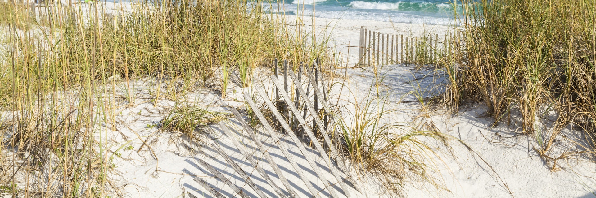 Dune fence and sea oats on the dunes at Pensacola Beach, Florida on Gulf Islands National Seashore.; Shutterstock ID 217923022; Your name (First / Last): Emma Sparks; GL account no.: 65050; Netsuite department name: Online Editorial; Full Product or Project name including edition: Best_in_the_US_POIs