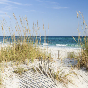 Dune fence and sea oats on the dunes at Pensacola Beach, Florida on Gulf Islands National Seashore.; Shutterstock ID 217923022; Your name (First / Last): Emma Sparks; GL account no.: 65050; Netsuite department name: Online Editorial; Full Product or Project name including edition: Best_in_the_US_POIs