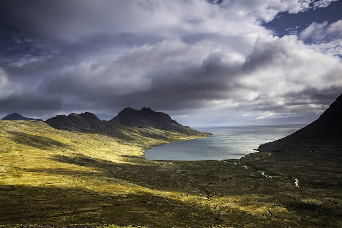 The Westfjords travel Iceland - Lonely Planet 