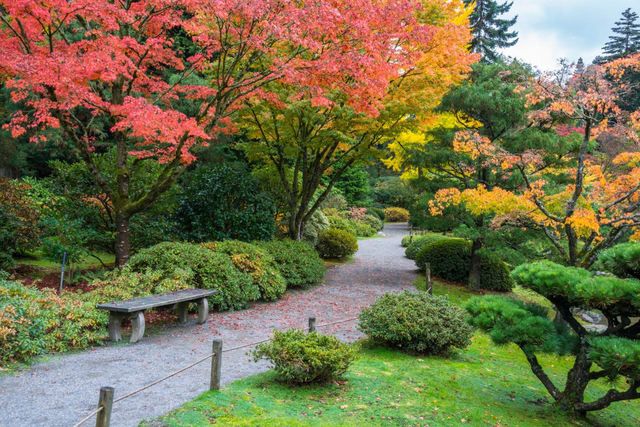 Autumn Colors with Park Bench and Walking Path in Arboretum Garden; Shutterstock ID 227970997; Your name (First / Last): Alexander Howard; GL account no.: 65050; Netsuite department name: Online Editorial; Full Product or Project name including edition: Western USA neighborhood POI highlights