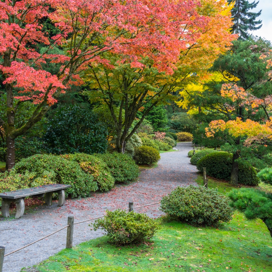 Autumn Colors with Park Bench and Walking Path in Arboretum Garden; Shutterstock ID 227970997; Your name (First / Last): Alexander Howard; GL account no.: 65050; Netsuite department name: Online Editorial; Full Product or Project name including edition: Western USA neighborhood POI highlights