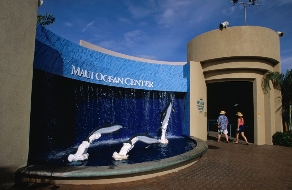 Visitors entering Whale Discovery Center at Maui Ocean Center with sculpture of three dolphins in foreground.