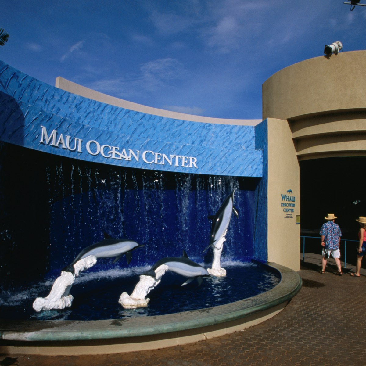 Visitors entering Whale Discovery Center at Maui Ocean Center with sculpture of three dolphins in foreground.