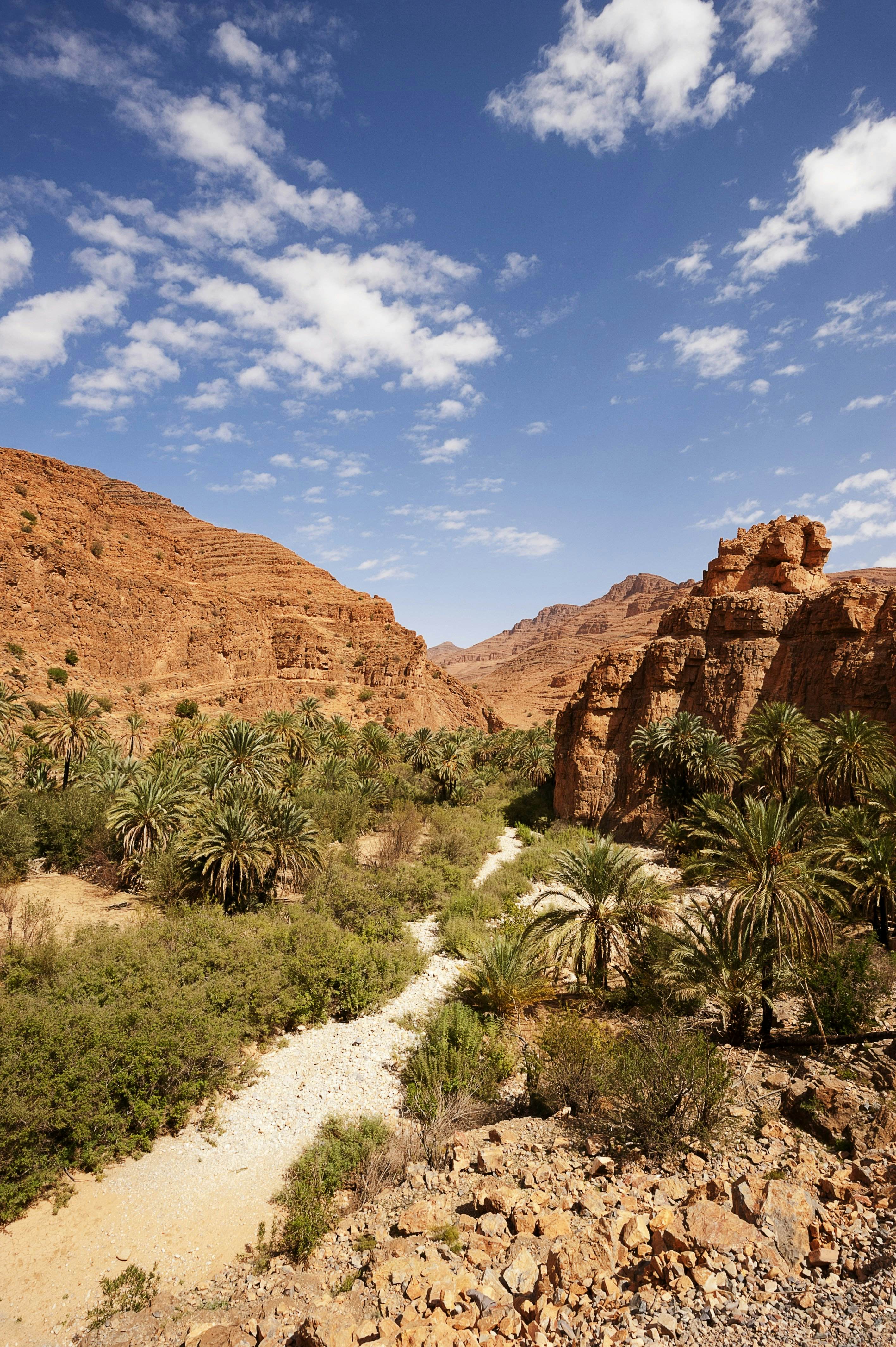 Tafraoute Travel | Morocco, Africa - Lonely Planet