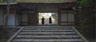 Image by B Tanaka / Getty Images