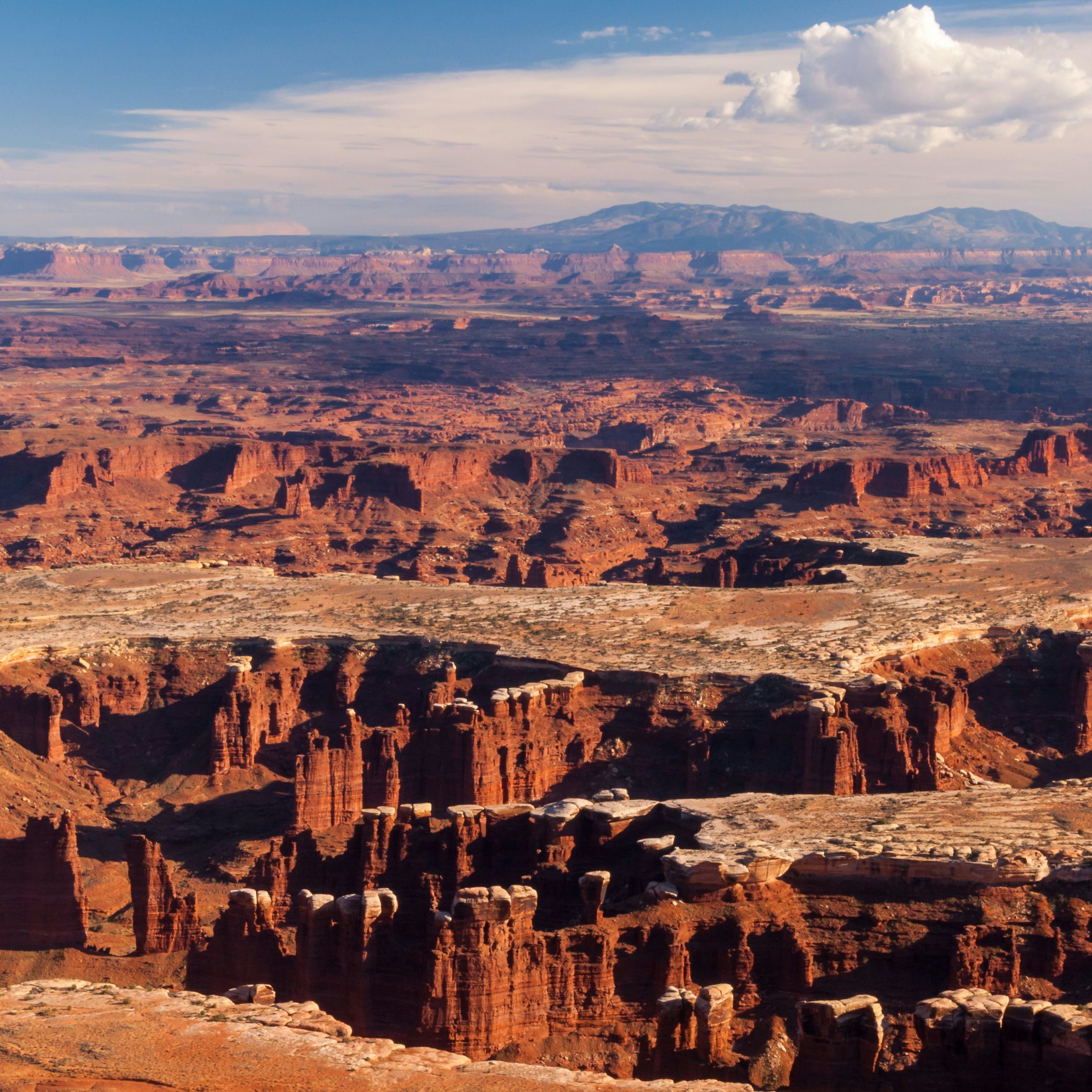 Dramatic view of sandstone cliffs, mesas, and canyons from the Island in the Sky district of Canyonlands National Park in Utah.