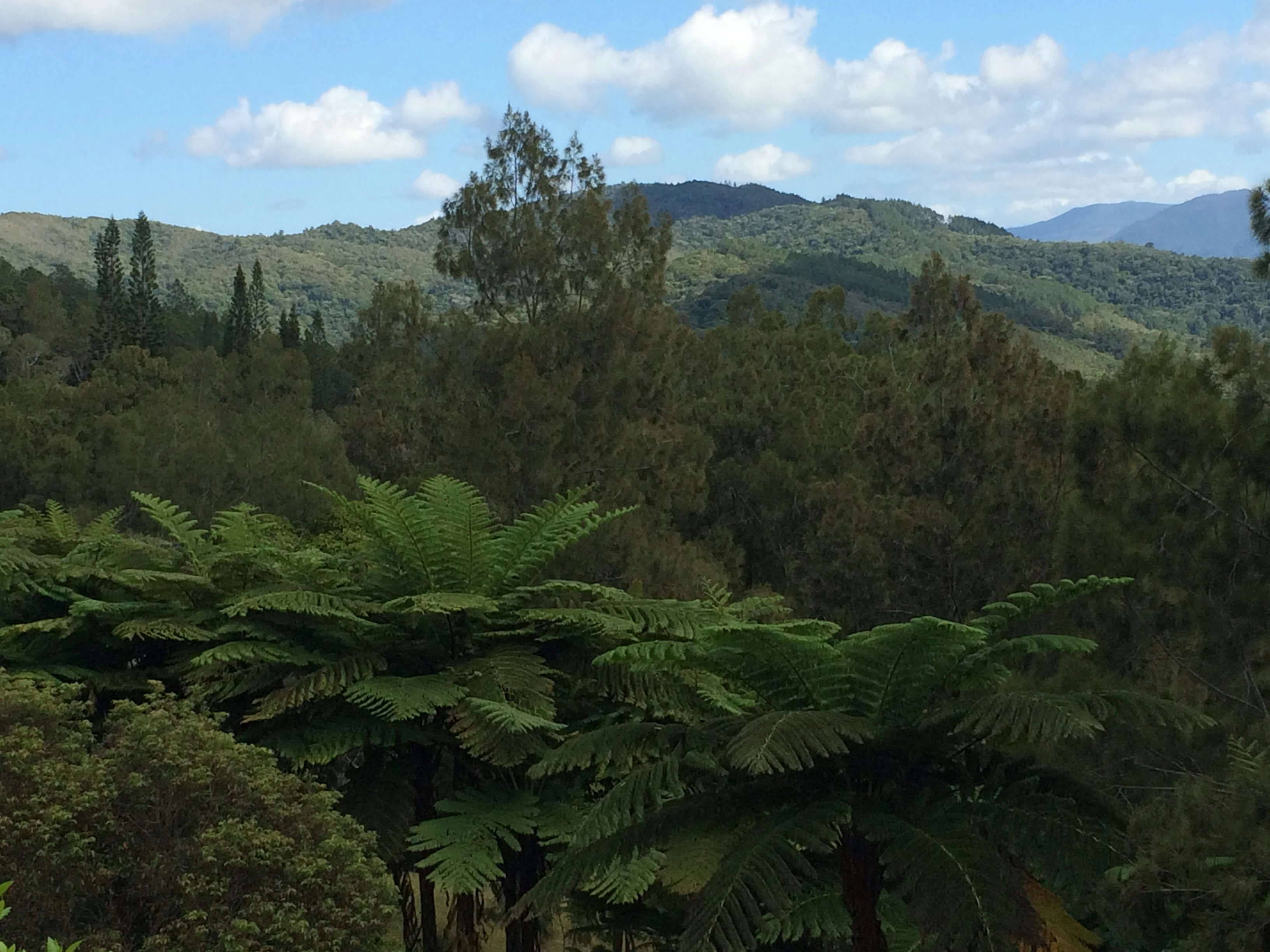 Le Parc des Grandes Fougères