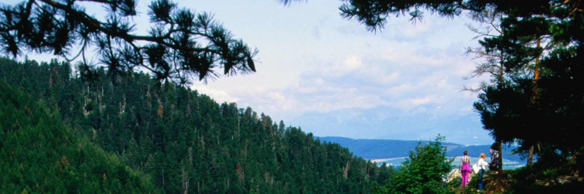 Taking in the lovely view from Tomasovsky lookout in Slovensky Raj, The Slovak Paradise National Park ( Narodni park Slovensky raj ).