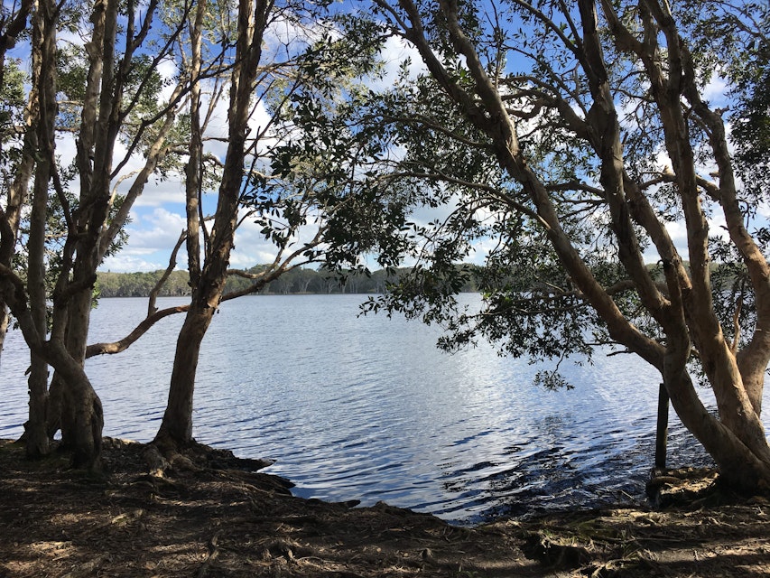 The tea tree lake is a beautiful spot for reflection
