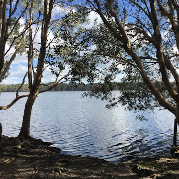 The tea tree lake is a beautiful spot for reflection