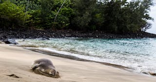 Keʻe Beach