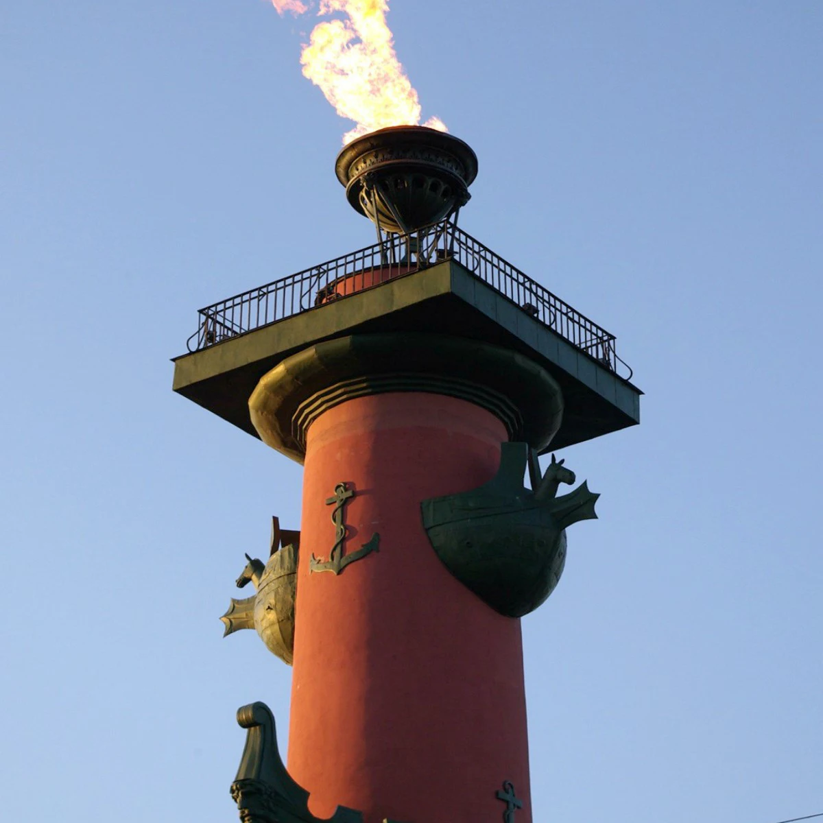 Image of Rostral Columns