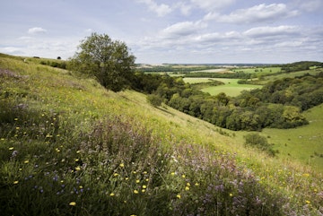 Overview of valley from Old Winchester Hill.