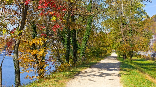Colorful deciduous trees in fall on the along the river bank.