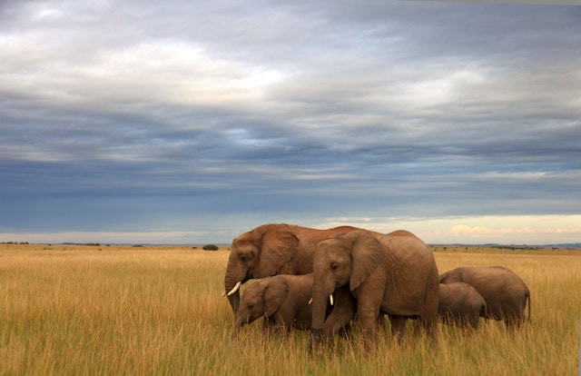 Best national parks in Kenya - Lonely Planet