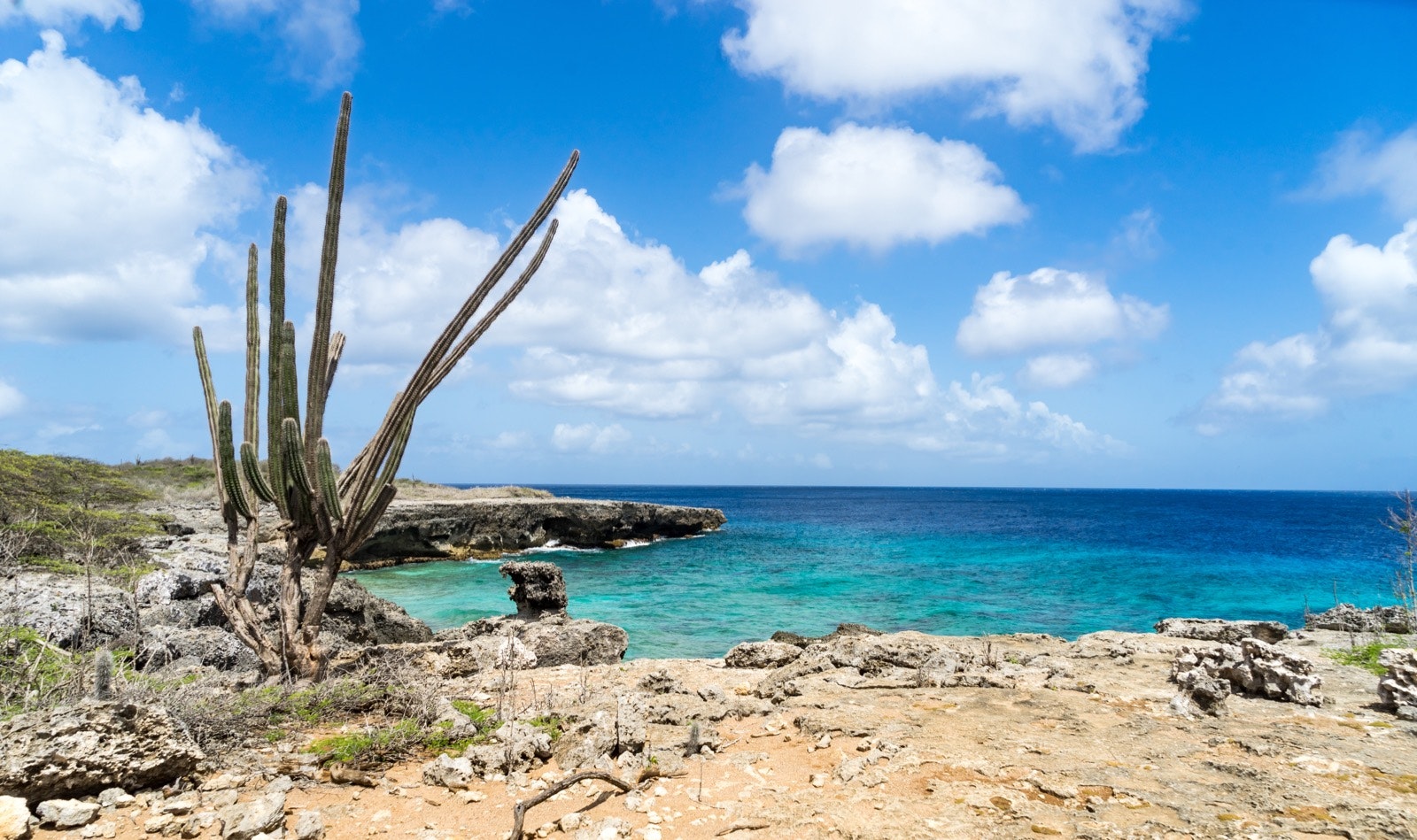 Washington Slagbaai National Park -Views around the Caribbean Island of Bonaire in the ABC Islands; Shutterstock ID 459862570; Your name (First / Last): Alicia Johnson; GL account no.: 65050; Netsuite department name: Online Editorial ; Full Product or Project name including edition: Bonaire