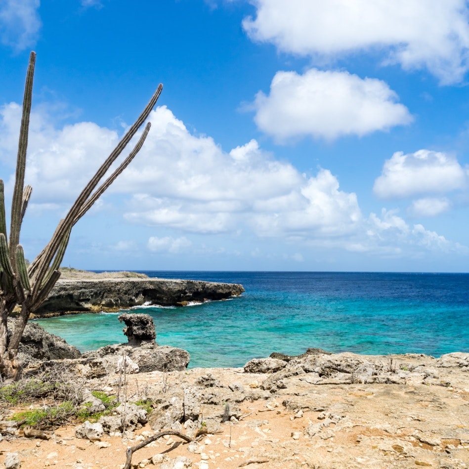Washington Slagbaai National Park -Views around the Caribbean Island of Bonaire in the ABC Islands; Shutterstock ID 459862570; Your name (First / Last): Alicia Johnson; GL account no.: 65050; Netsuite department name: Online Editorial ; Full Product or Project name including edition: Bonaire
