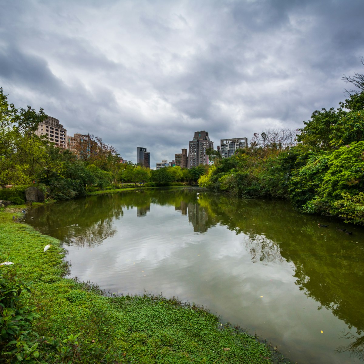 Lake at Daan Forest Park in Taipei, Taiwan.; Shutterstock ID 383533513; Your name (First / Last): Lauren Gillmore; GL account no.: 56530; Netsuite department name: Online-Design; Full Product or Project name including edition: 65050/ Online Design /LaurenGillmore/POI