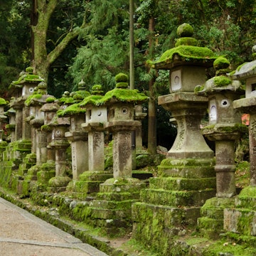 Typical japanese stone lanterns in Nara, Japan