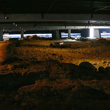 Settlement Exhibition