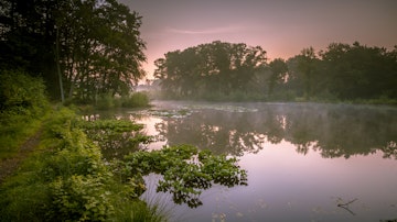 Spring lake in Natura 2000 Nature reserve Springendal on misty morning in August; Shutterstock ID 1013020459; Your name (First / Last): Daniel Fahey; GL account no.: 65050; Netsuite department name: Online Editorial; Full Product or Project name including edition: Central Netherlands lp.com page