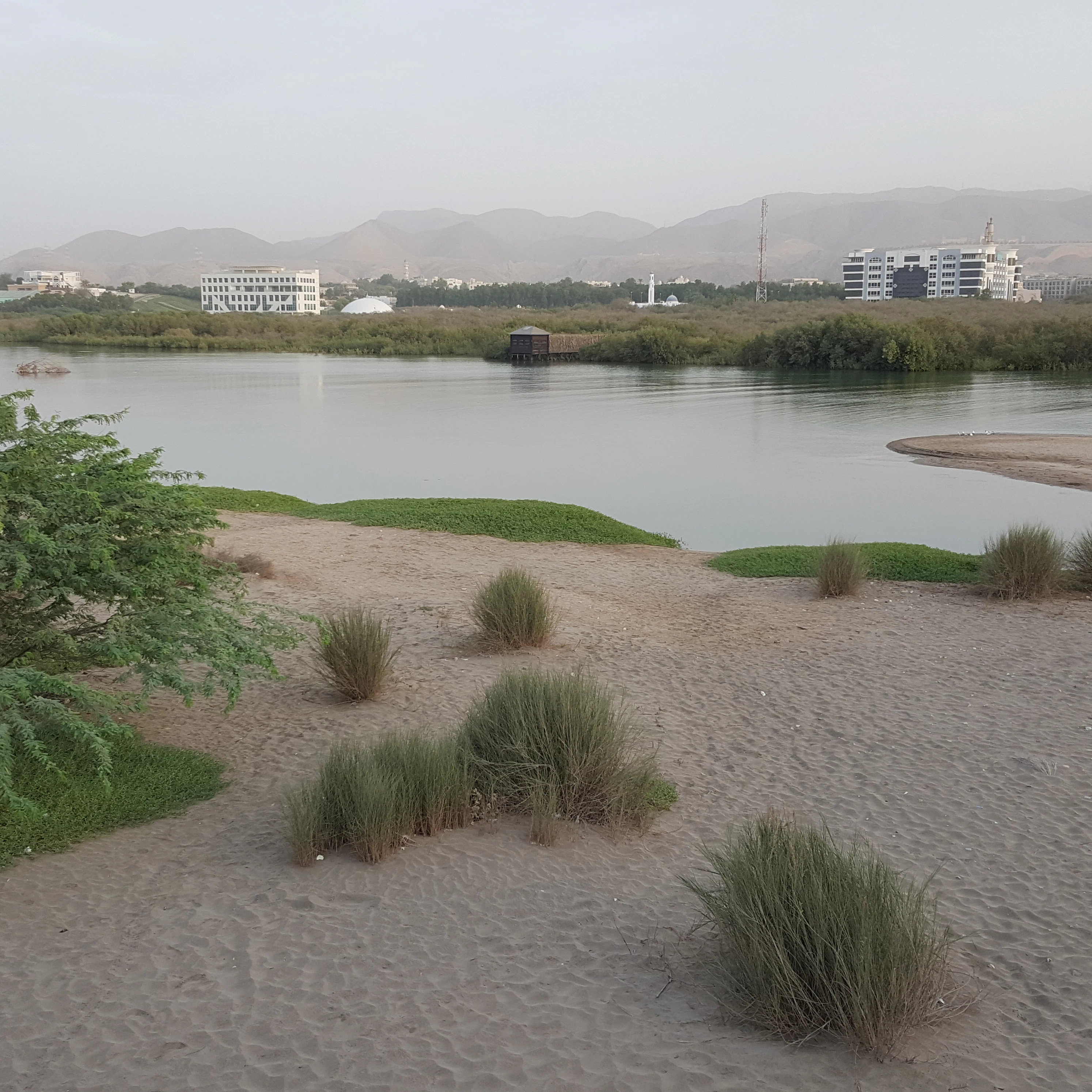 Image of Qurm Nature Reserve