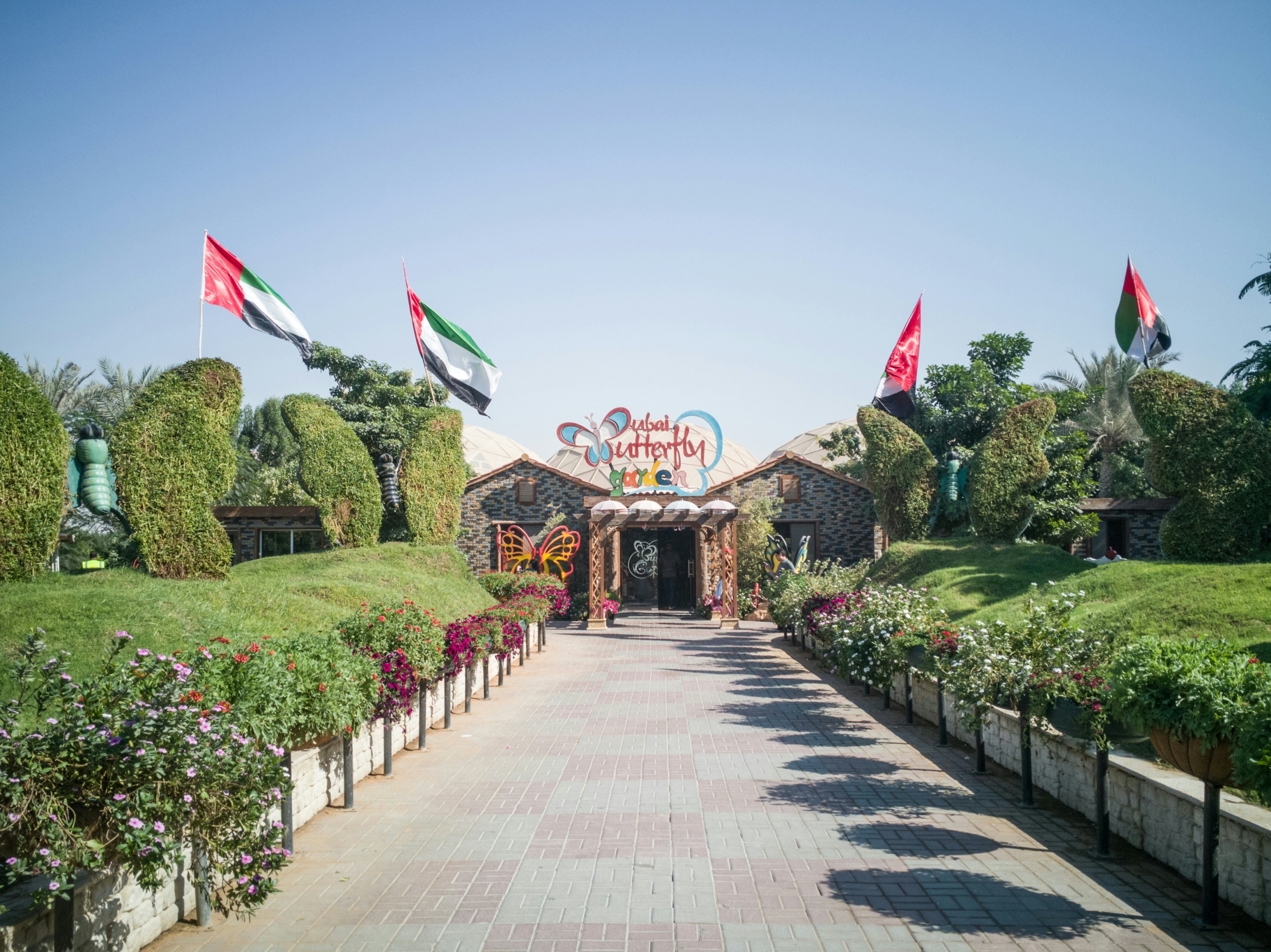 Image of Dubai Butterfly Garden