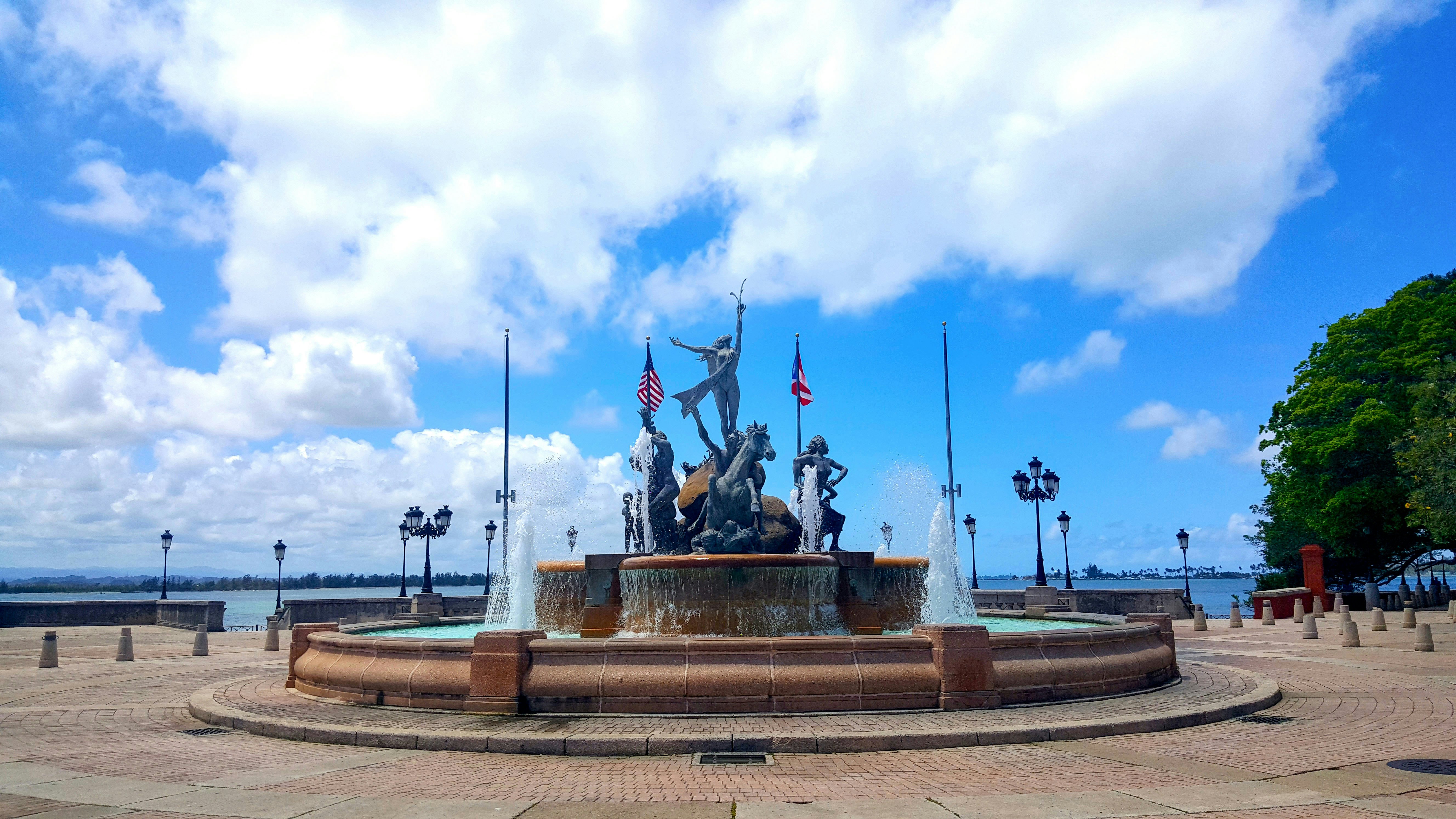 Image of Fuente Raíces