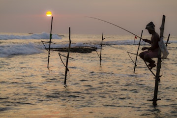 Stilt Fisherman Sri Lanka