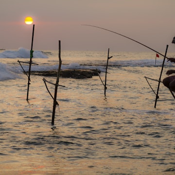 Stilt Fisherman Sri Lanka