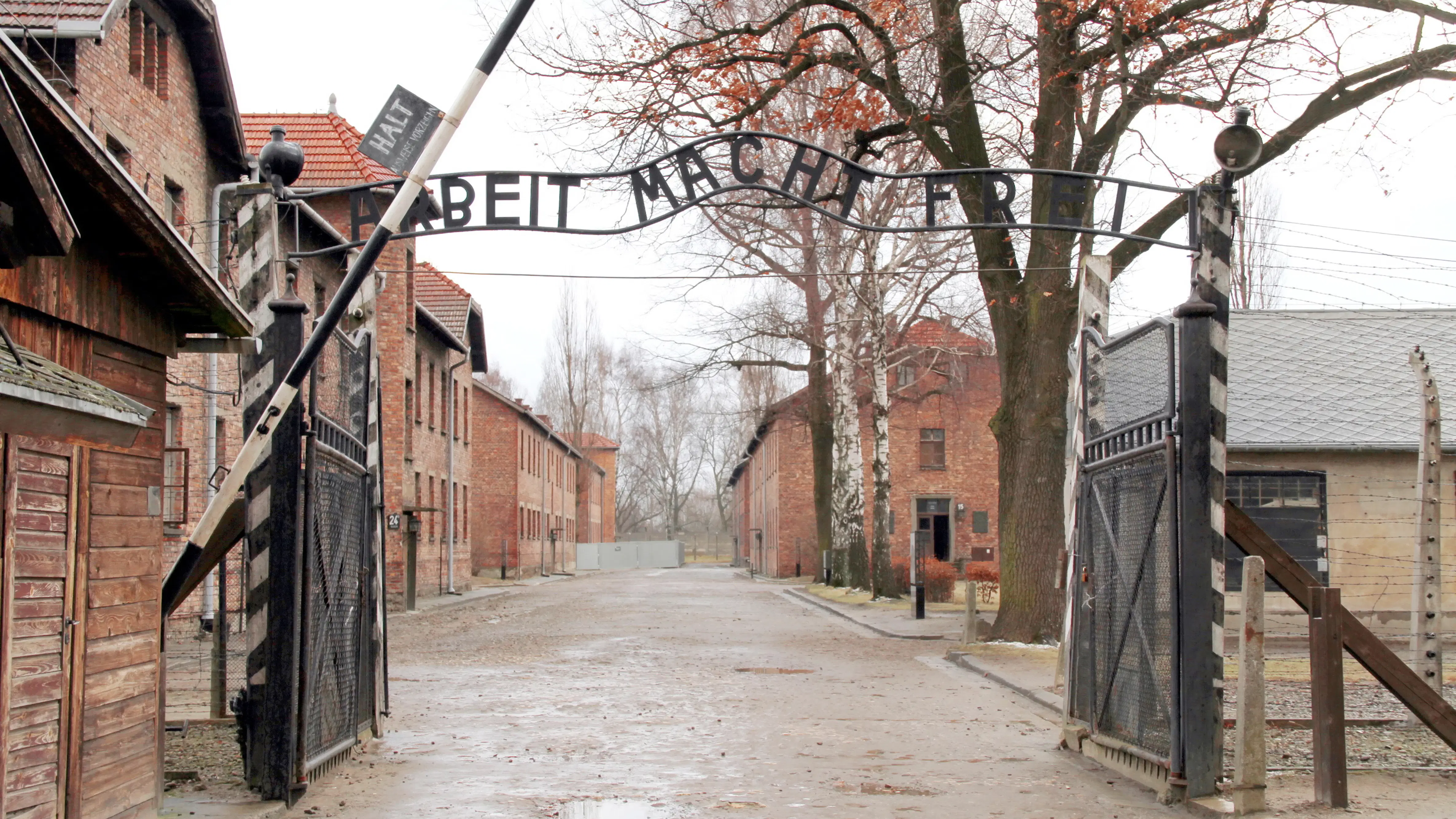 Auschwitz-Birkenau