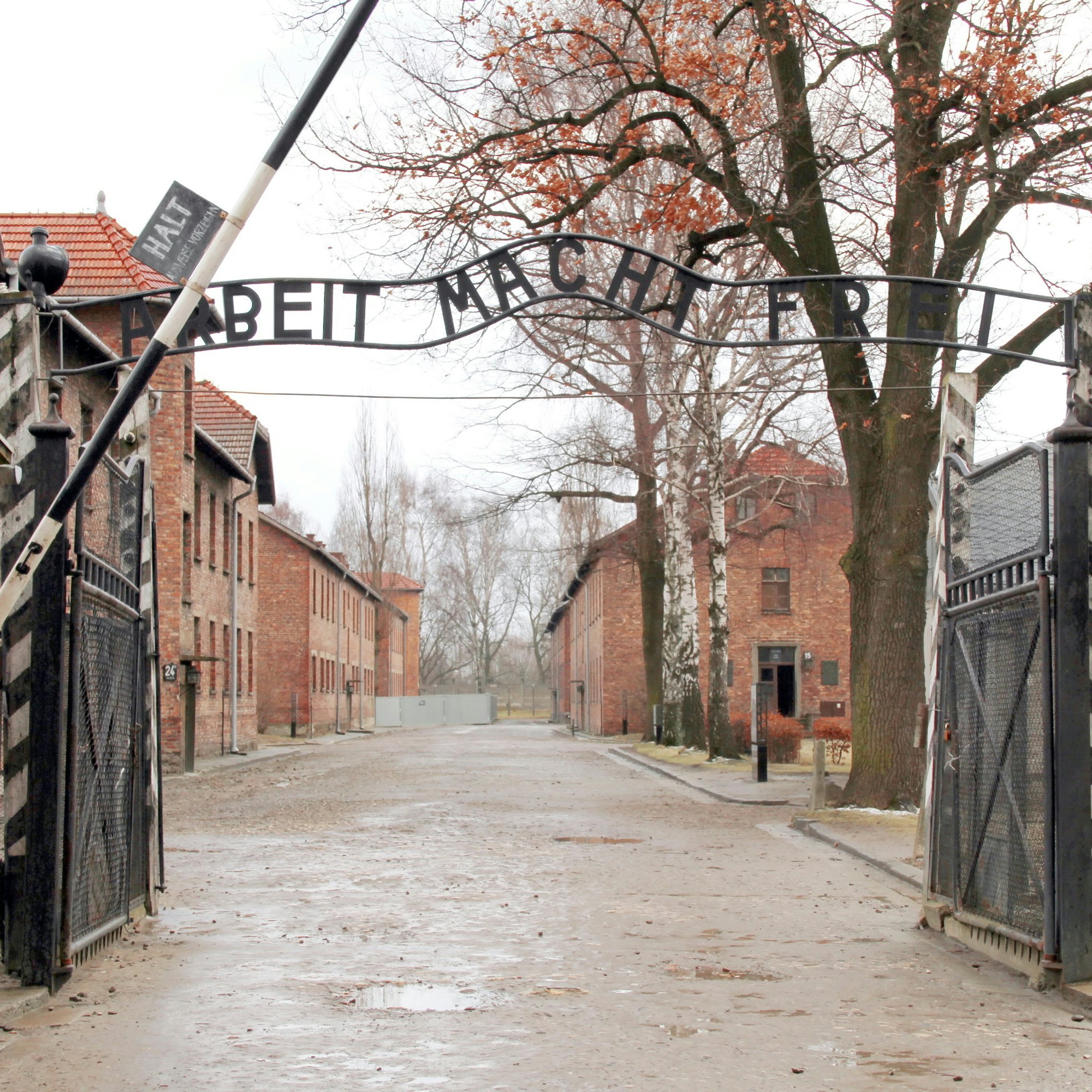 Gates to Auschwitz Birkenau Concentration Camp, Poland; Shutterstock ID 135123005; Your name (First / Last): Gemma Graham; GL account no.: 65050; Netsuite department name: Online Editorial; Full Product or Project name including edition: BiT Destination Page Images