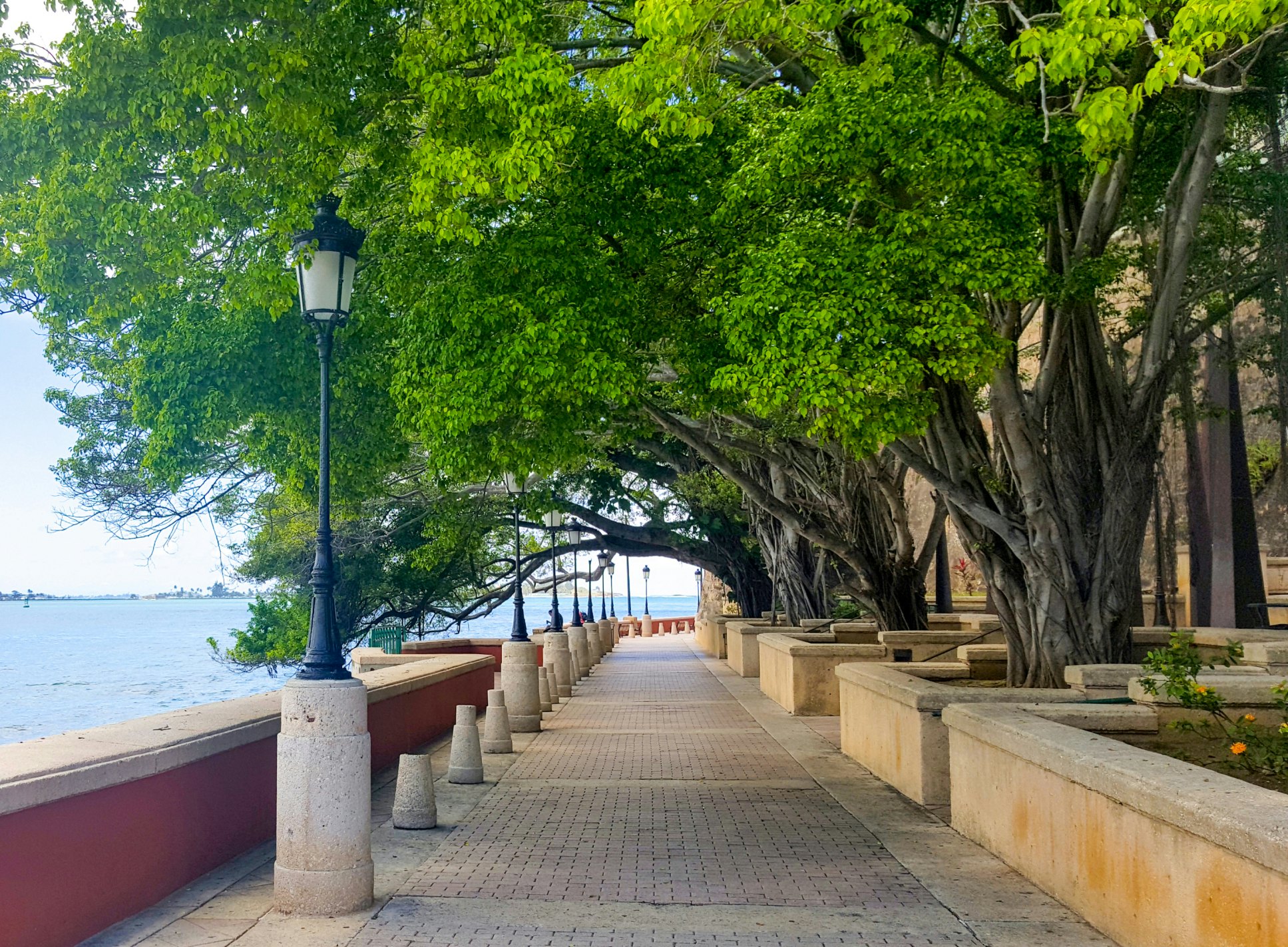 View of the San Juan Bay from Paseo de la Princesa.