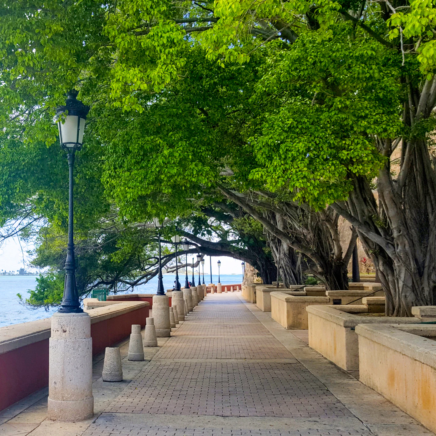 View of the San Juan Bay from Paseo de la Princesa.