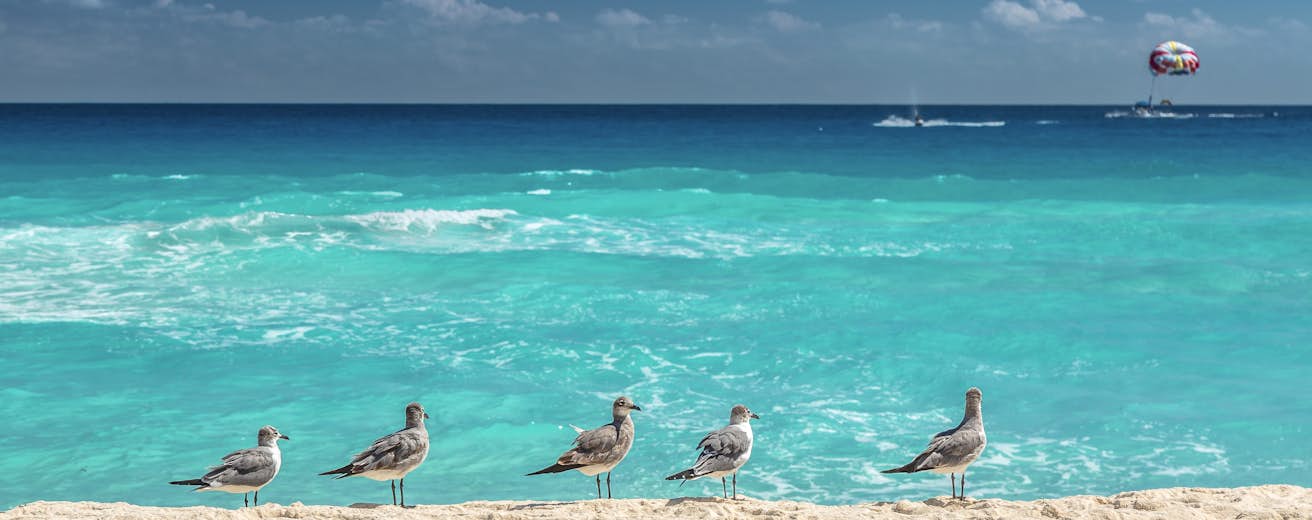 Yucatan Peninsula Travel Mexico North America Lonely Planet Yucatan Peninsula Travel Mexico North America Lonely Planet