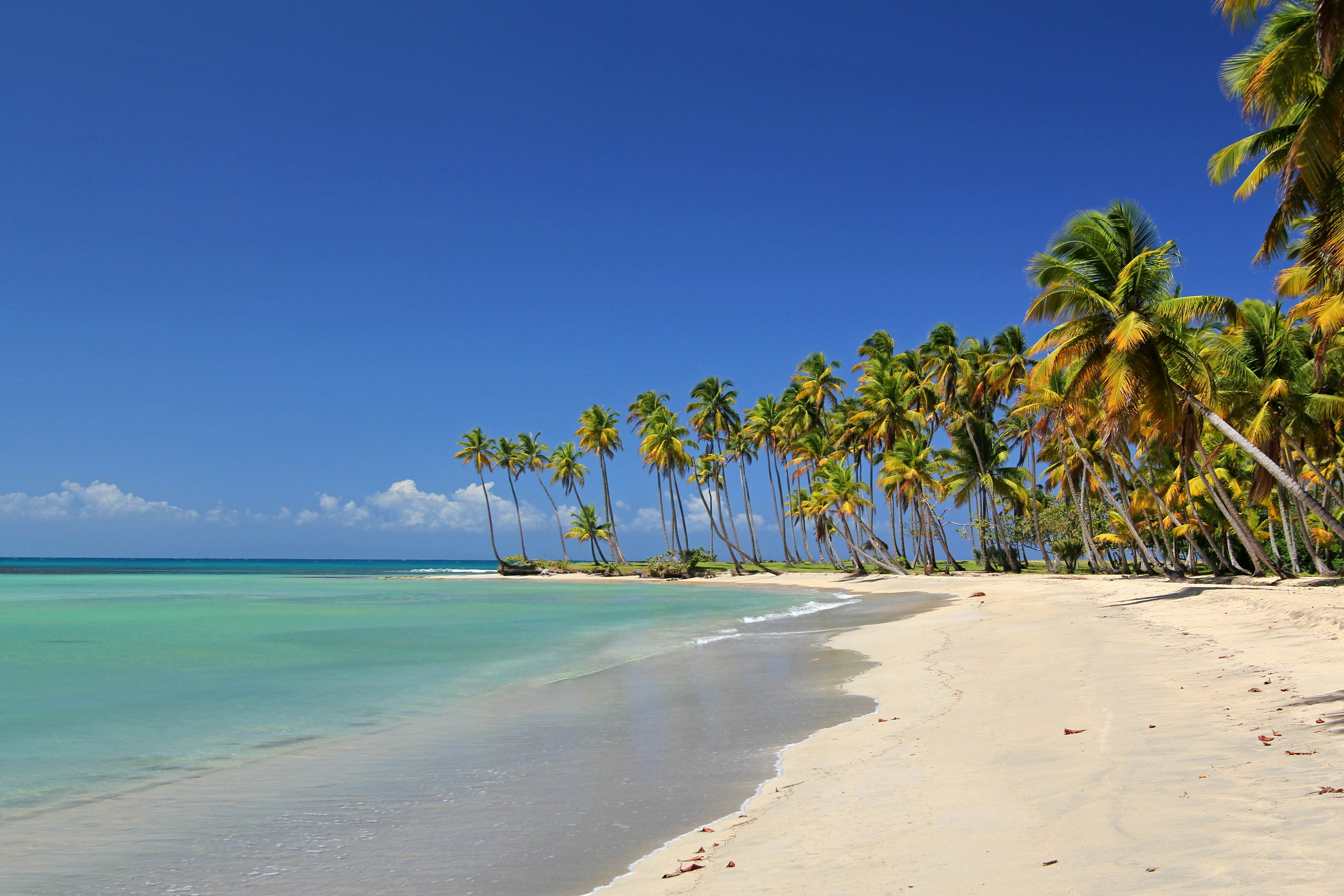 Best Beach In Dominican Republic