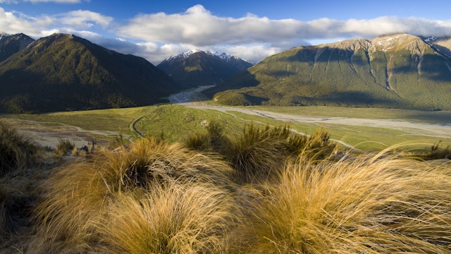 Arthur's Pass National Park, South Island, New Zealand